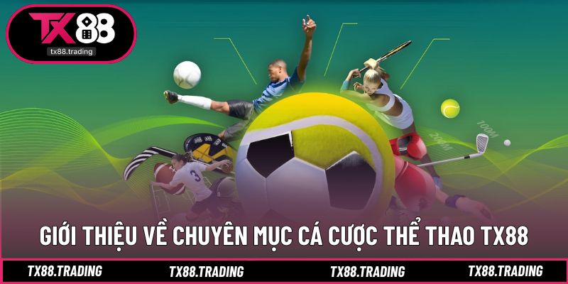 Chuyên mục cá cược đa dạng mọi bộ môn