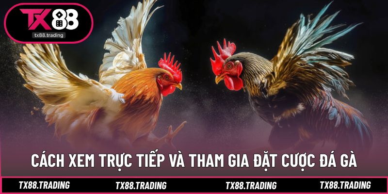 Hướng dẫn thao tác nhanh và dễ thực hiện