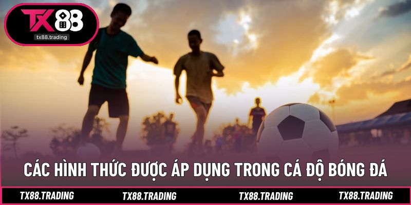 Khái quát mô hình dự đoán kết quả bóng đá trực tuyến