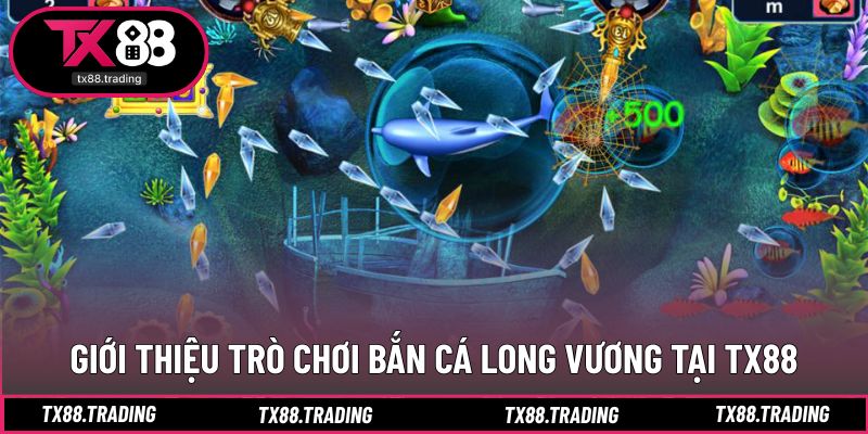 Khái quát trải nghiệm săn thưởng dưới đại dương sâu