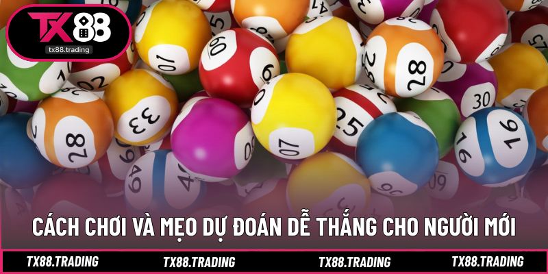 Mẹo giúp bạn dự đoán hiệu quả khi mới bắt đầu